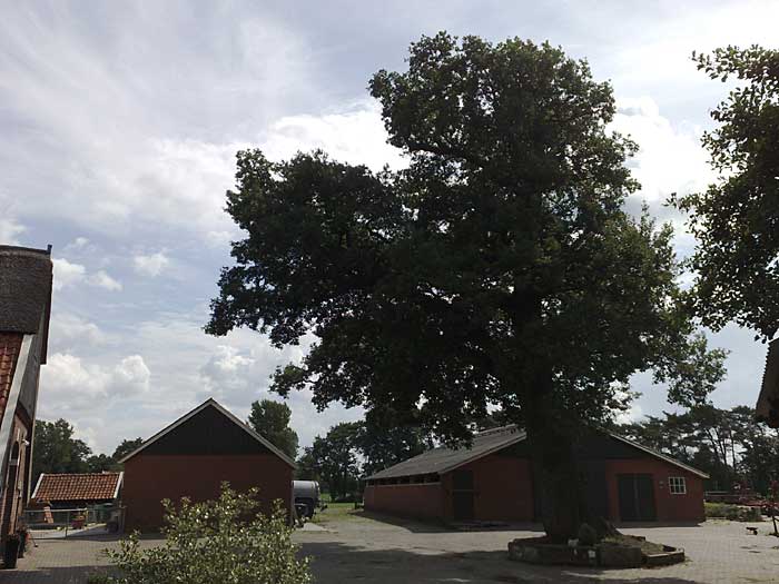 Landweer tussen Beckum en Boekelo