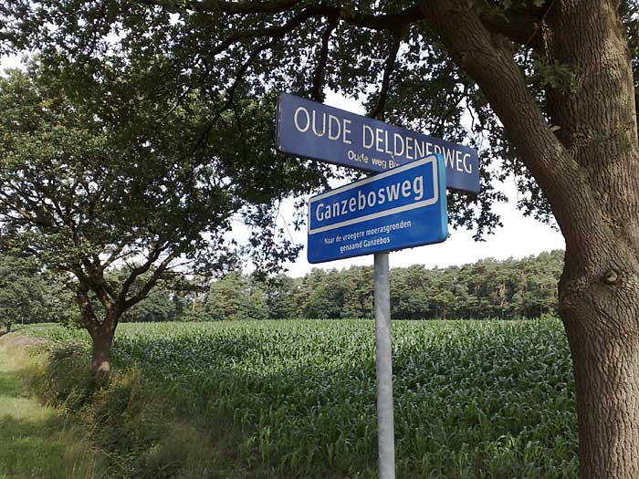 Ganzebosweg Oude Deldenerweg