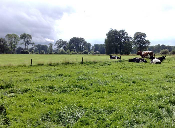 Watermolen bij Oele