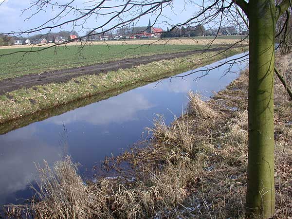 Hagmolenbeek tussen Beckum en Bentelo