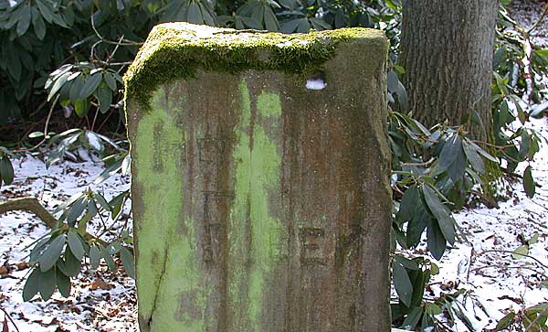 Natuurgebied Het FLier tussen Beckum en Delden