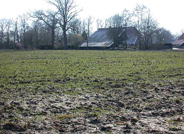 Woolde Boerderij