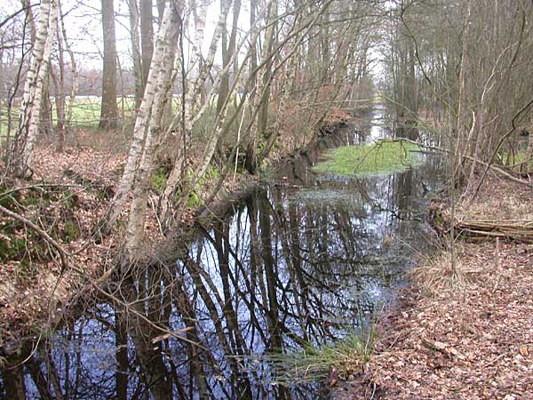 Landweer tussen Hof van Twente en Borne