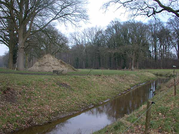 Graes, landweer Hof van Twente en Borne