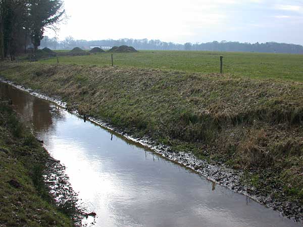 Azelerbeek