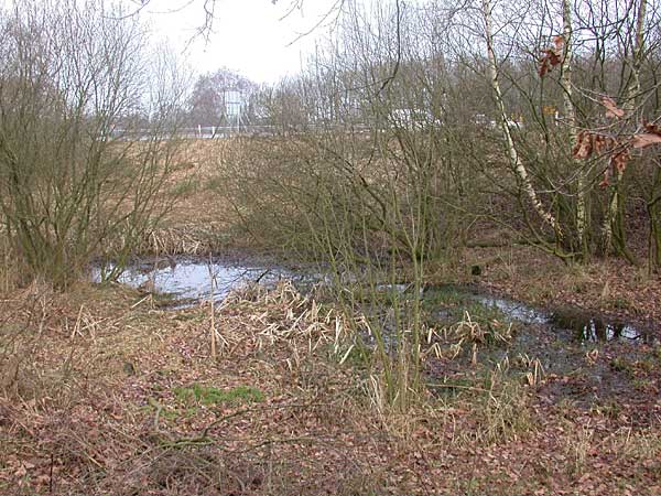 Molenkolk watermolen Graes Azelo