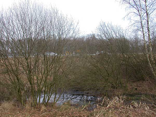 Azelosebeek in de Hof van Twente