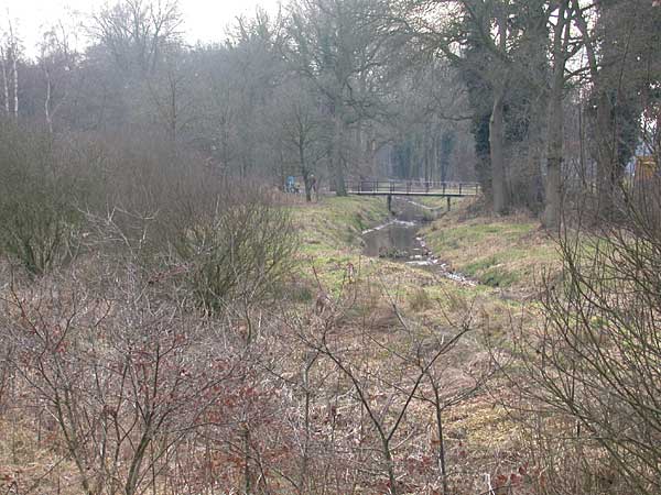 Azelosebeek landgoed Twickel bij boerderij Graes