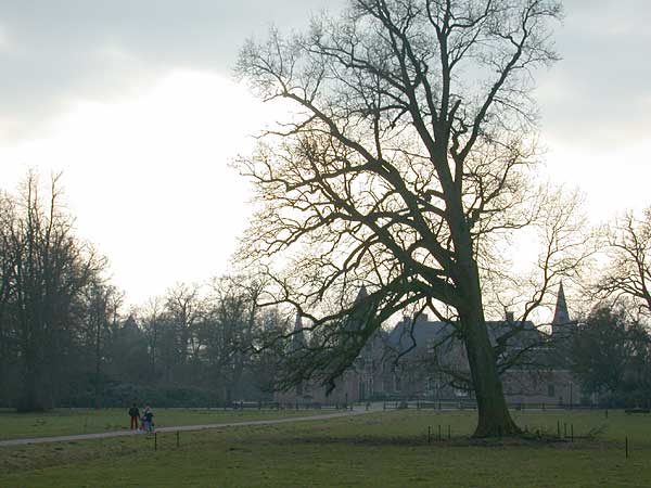 Twickelerlaan bij kasteel Twickel