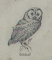 Bosuil