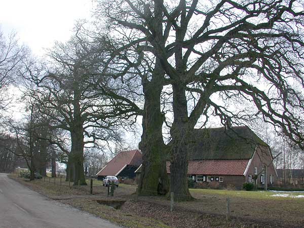 Kozakkeneik Anna boerderij Delden