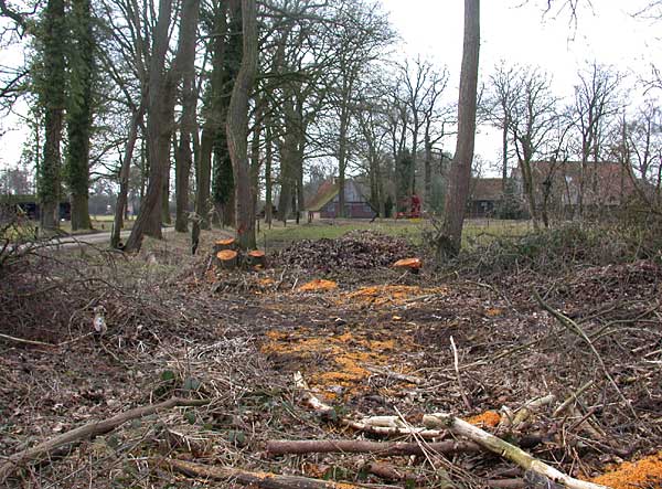 Oele tussen Hengelo en Delden