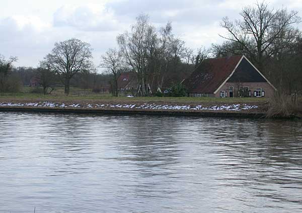 Twentekanaal tussen Hengelo en Delden