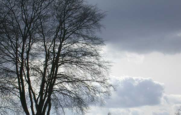 Twentekanaal bij Delden