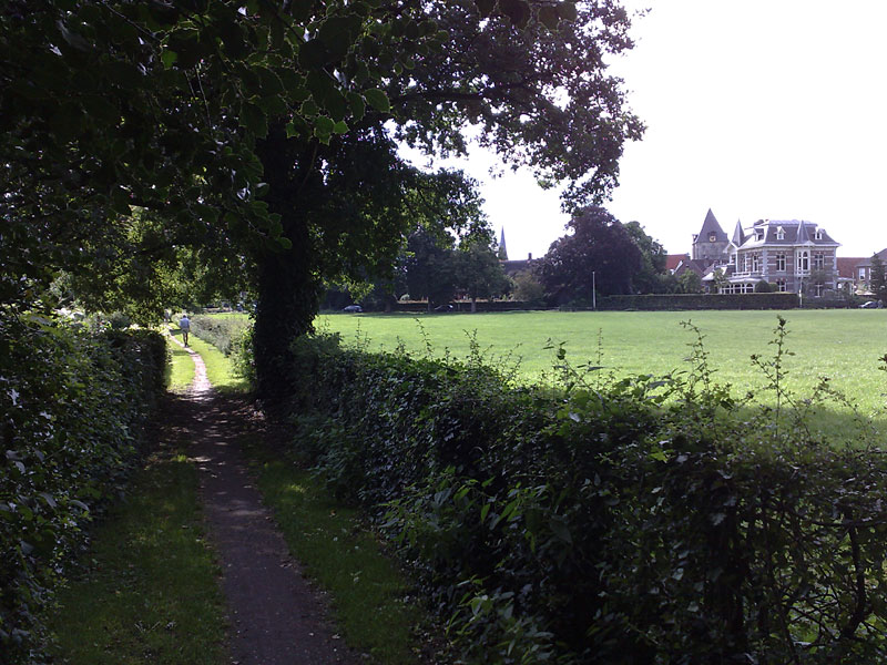 Delden gezien vanaf de stadsweide