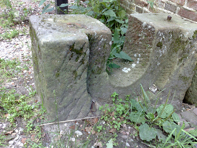 Noordmolen in Twickel Azelo