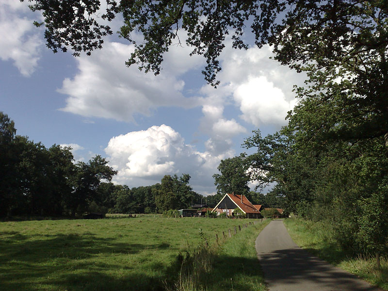 Noordmolen in Twickel Azelo