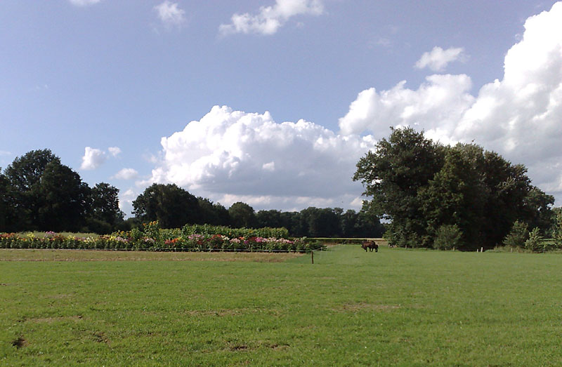 Wendezoel musemboerderij