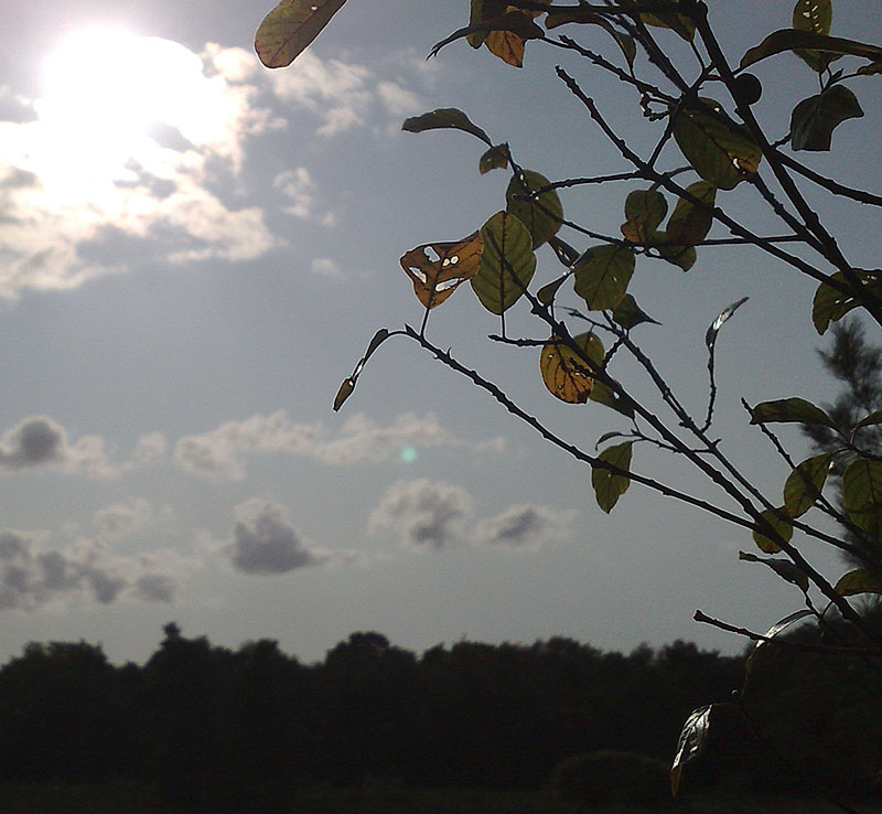 Lucht boven Beckum