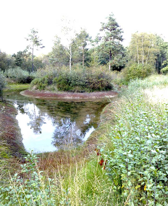 Schans bij Delden op landgoed Twickel