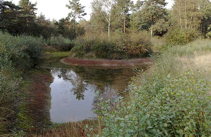 Schans bij Delden op landgoed Twickel