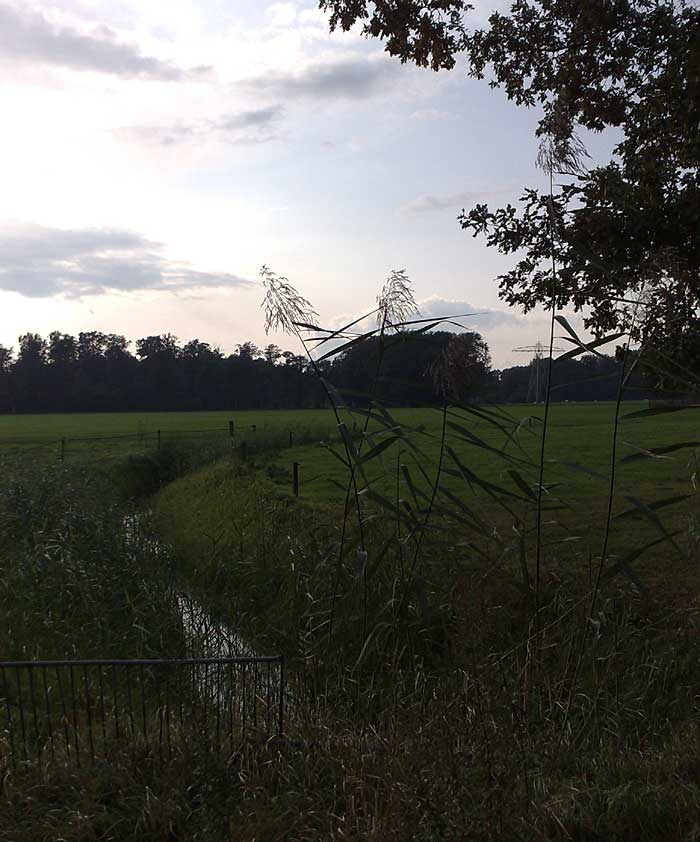 Omloopleiding bij Oelerbeek in Twickel