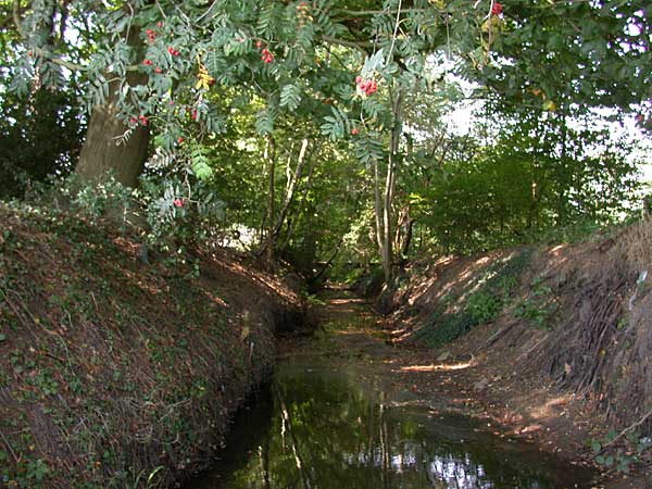 Schaddendijk