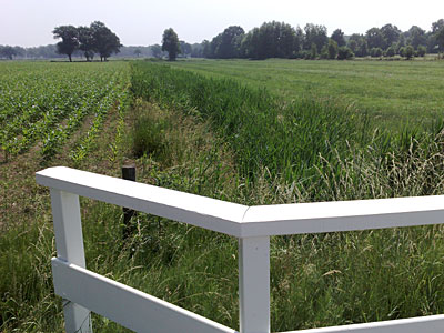 Ganzebos bij Boekelo  en Beckum