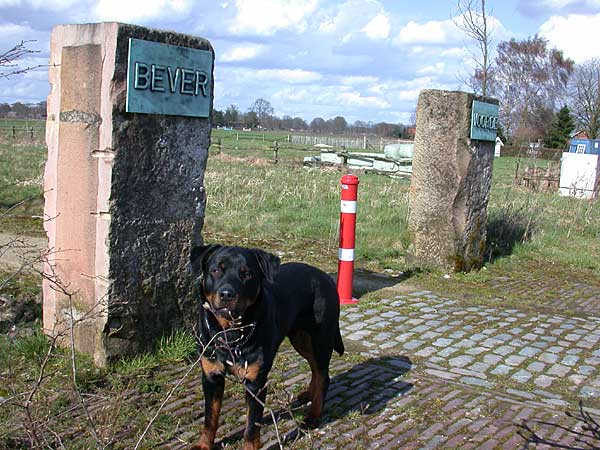 De toegangspoort tot het terrein van Bevervoorde