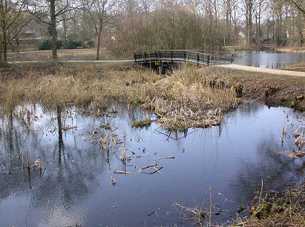 Poolsvijver