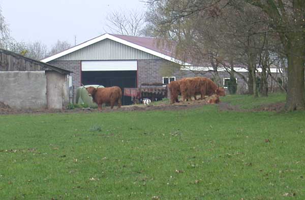 Gorsveldweg tussen Hengevelde en Beckum