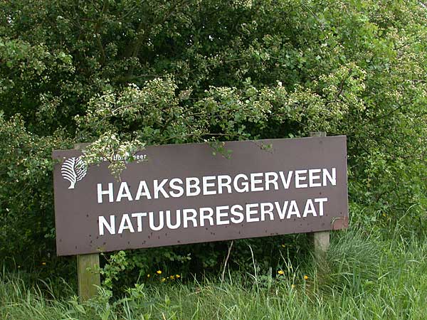 Haaksbergerveen