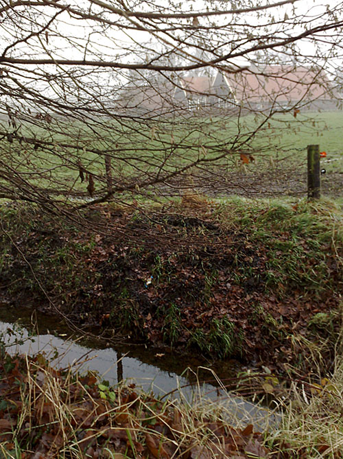 Grootste eik Vorgers