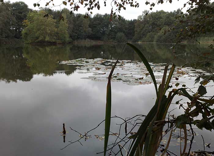 Oude maten Boekelo