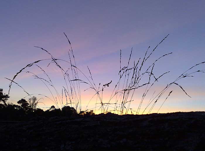 Ondergaande zon in Oele