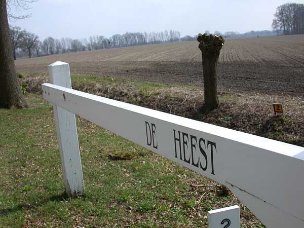 Heest bij Nettelhorst in Lochem