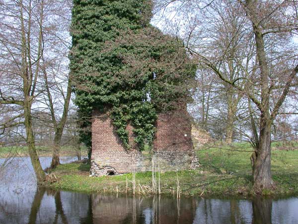 Ruïne van kasteel Nettelhorst bij Lochem