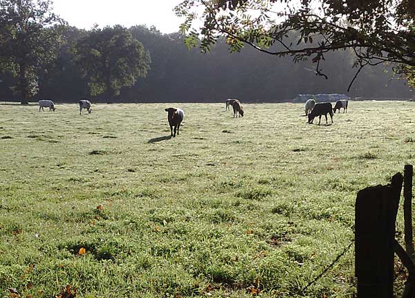 Beldersweg van Hengelo naar Boekelo