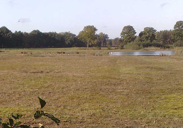 Buurserzand
