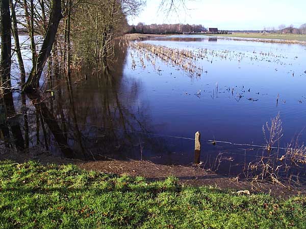 Dinkel bij Glane