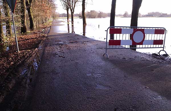 Dinkel bij Losser