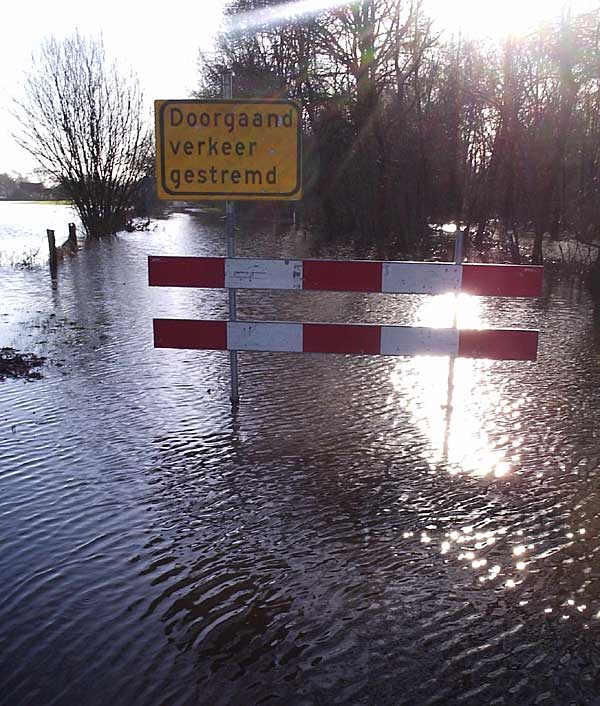 Dinkel bij Losser