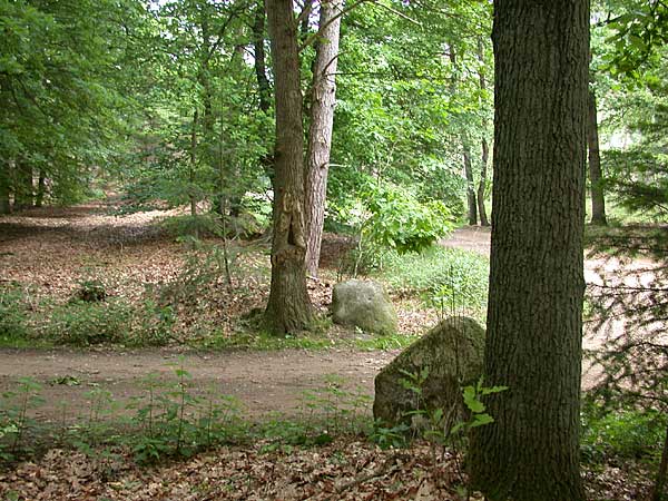 Ligtenberg
