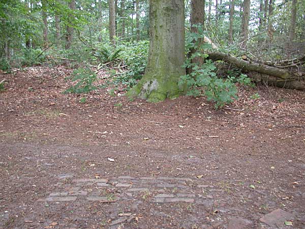 Smalenbroek
