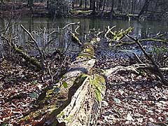 Nationaal Landschap Springendal bij Ootmarsum