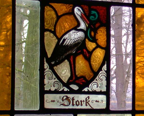 Stork