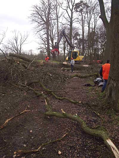 Stormschade bij Graes in Twickel