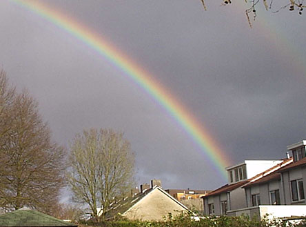 Regenboog