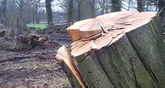 Stormschade in Twickel