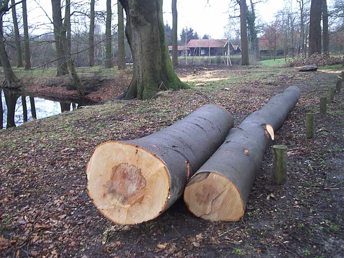 Stormschade in Twickel